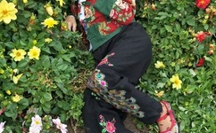 欧美一码二码三码四码